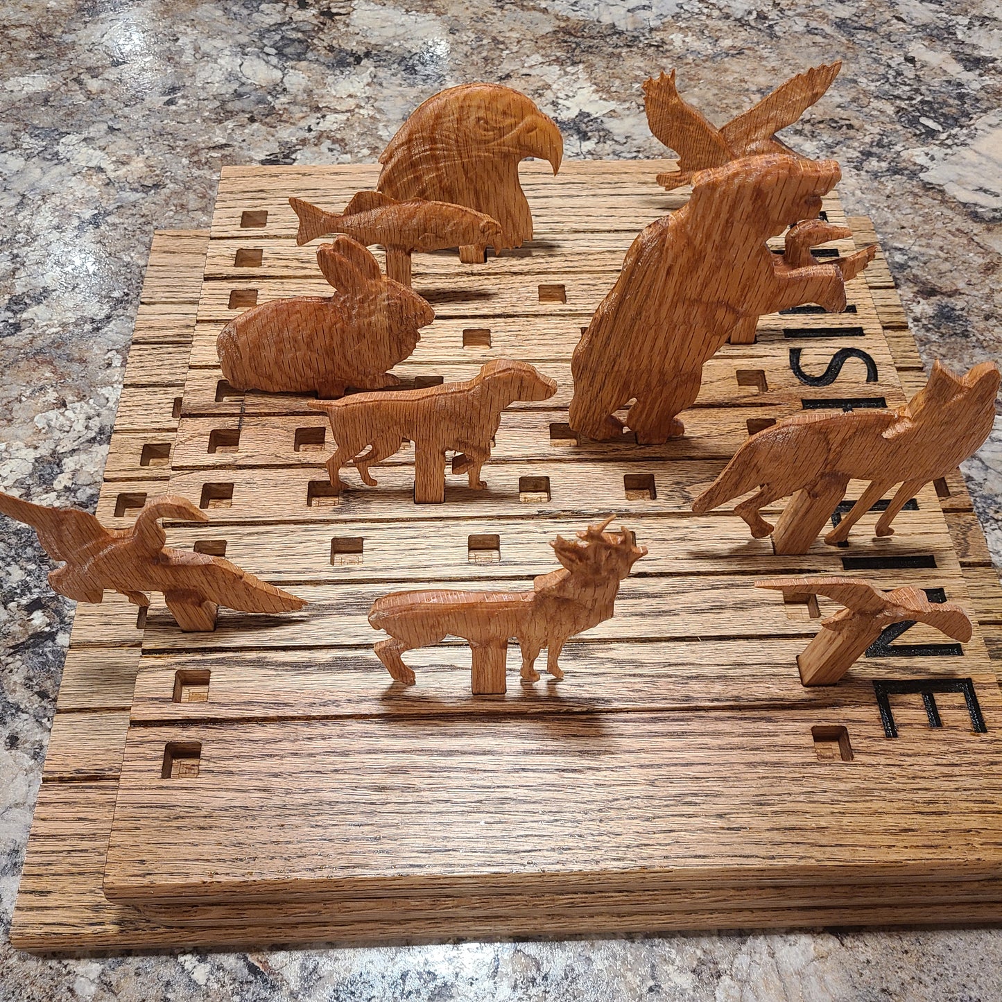 Wildlife Animal Racing Game